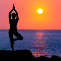 Centros de Yoga - Los Mejores 1 (Completo)