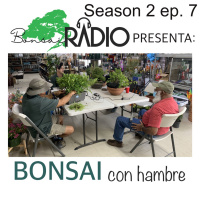 s2e7 - Bonsai con Hambre 1