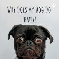 Can I Have a Pet? Part 2 Research