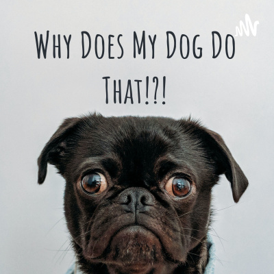 April Bolivar Your Dog Training Mentor