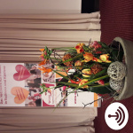 Heike Seijsener-ritter