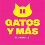 2. Los Gatos Y La Taurina