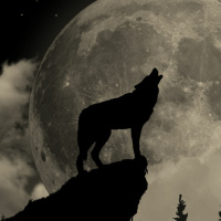 כלבם של בני בסקרוויל - פרק 3