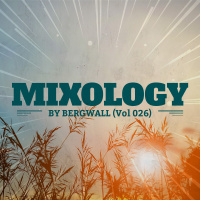 Mixology by Bergwall (Vol 026) ► Reggaeton