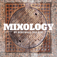 Mixology by Bergwall (Vol 028) ► Deep Tech ► Underground House Music