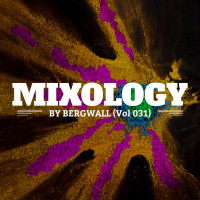 Mixology by Bergwall (Vol 031) ► Groovy House