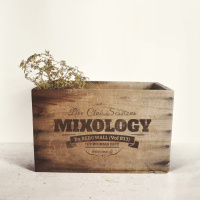 Mixology by Bergwall (Vol 013)