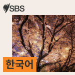 Sbs Korean - Sbs