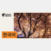 시드니 일가족 살해 태권도 사범 ‘결심 공판’… 검찰 종신형 구형, 선고는 12월 16일