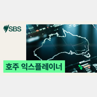 익스플레이너: 호주 블랙프라이데이 시즌, 쇼핑 사기 경고!