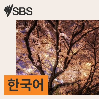 Sbs Korean - Sbs