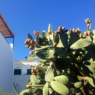 Nick Fletcher Music Mixes