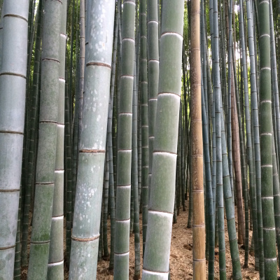 Nick Fletcher Music Mixes