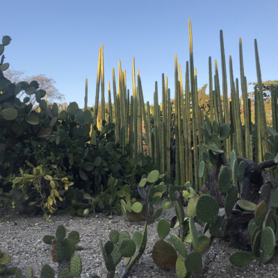 Nick Fletcher Music Mixes