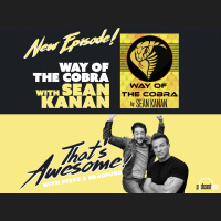 Way of The COBRA with SEAN KANAN!