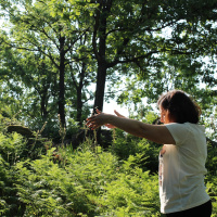 Zhineng chikung nivel 1