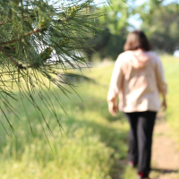 Creando una nueva historia