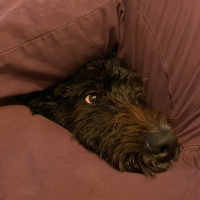 Bitácora Espacial 155