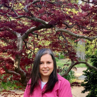 Building Resources for The Monarch Method 