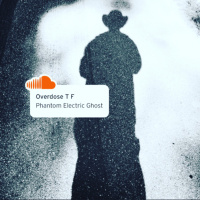 Sonic Overexposure: Overdose T F and Other Sordid Tales