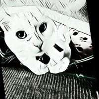 PEG: The Depths of Dawless Recording: Mood Couture