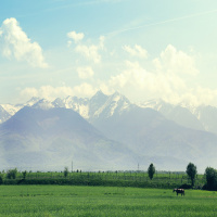 Romania: The Long Road Back from Communism