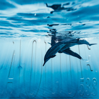 Al Otro Lado del Espejo#538-11-03-23