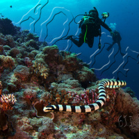 Al Otro Lado del Espejo#611-03-08-24