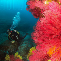 Al Otro Lado del Espejo#561-19-08-23