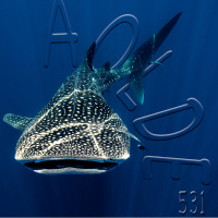 Al Otro Lado del Espejo#531-21-01-23