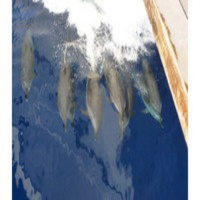 Al Otro Lado Del Espejo nº 31 - 03/05/2013