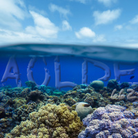 Al Otro Lado del Espejo#662-02-08-25