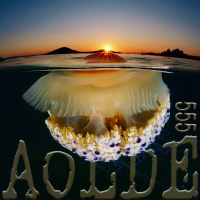 Al Otro Lado del Espejo#555-08-07-23