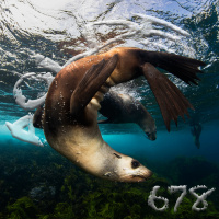 Al Otro Lado del Espejo#678-22-11-25