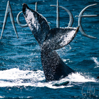 Al Otro Lado del Espejo#640-22-02-25