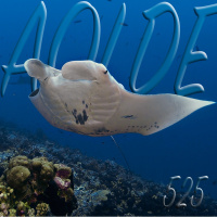 Al Otro Lado del Espejo#525-10-12-22