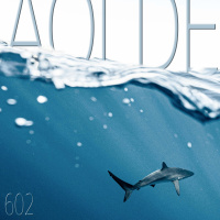 Al Otro Lado del Espejo#602-01-06-24