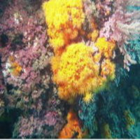 Al Otro Lado Del Espejo nº 29 - 19/04/2013