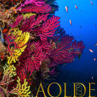 Al Otro Lado del Espejo#623-26-10-24