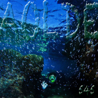 Al Otro Lado del Espejo#545-29-04-23