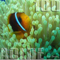 Al Otro Lado del Espejo nº 100 - 29-08-2014