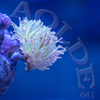 Al Otro Lado del Espejo#641-01-03-25