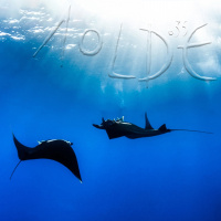 Al Otro Lado del Espejo#635-18-01-25