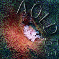 Al Otro Lado del Espejo#541-01-04-23