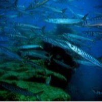 Al Otro Lado Del Espejo nº 30 - 26/04/2013