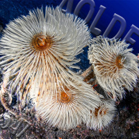 Al Otro Lado del Espejo#547-13-05-23