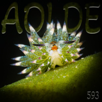 Al Otro Lado del Espejo#593-30-03-24