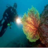 Al Otro Lado del Espejo nº 34 - 24-05-2013