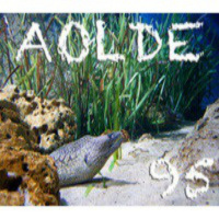 Al Otro Lado del Espejo nº 95 - 25-07-2014