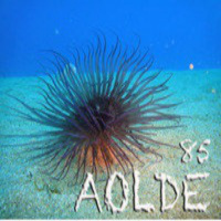 Al Otro Lado del Espejo nº 85 - 16-05-2014